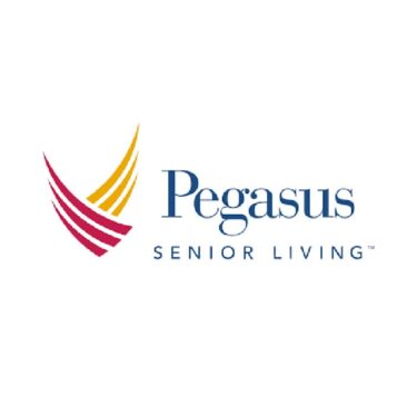 Pegasus logo image