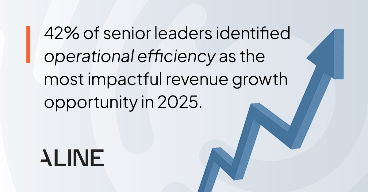 Copy that says 42% of senior leaders identified operational efficiency as the most impactful revenue growth opportunity with a graphic arrow pointing up.